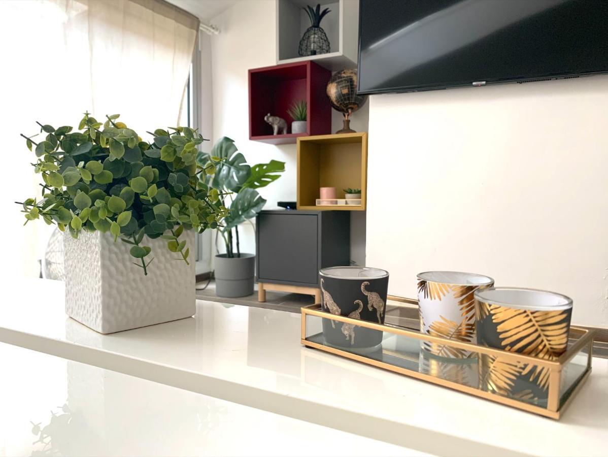 L'accueillant - Appartement avec chambre et terrasse Toulouse centre Extérieur photo